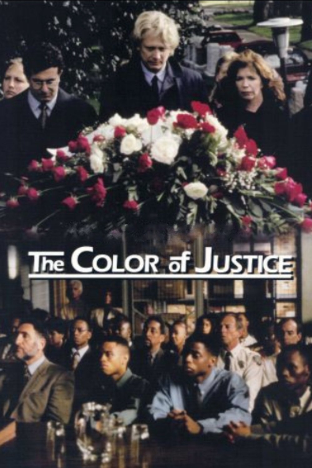 Постер Color of Justice
